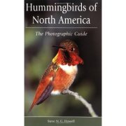 hummingbirds-of-north-america, bird feeder, unique bird feeders