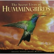 hummingbirds-of-north-america, bird feeder, unique bird feeders