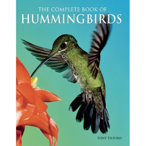 hummingbirds-of-north-america, bird feeder, unique bird feeders