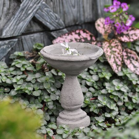 cement bird bath, bird feeder, unique bird feeders