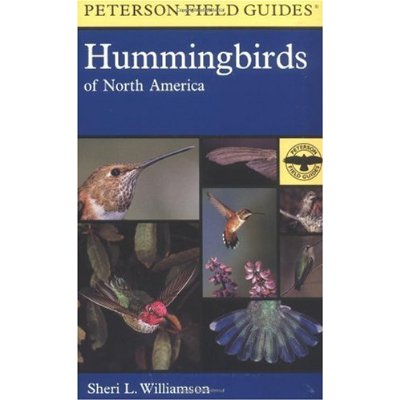 hummingbirds-of-north-america, bird feeder, unique bird feeders
