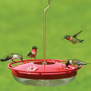 glass bird feeders