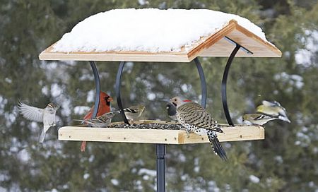 platform bird feeder