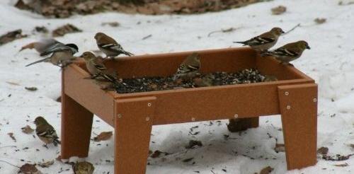 ground bird feeders