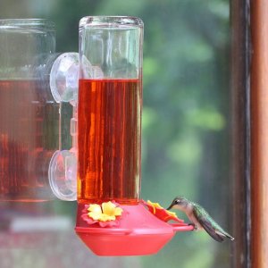 window bird feeders for hummingbirds